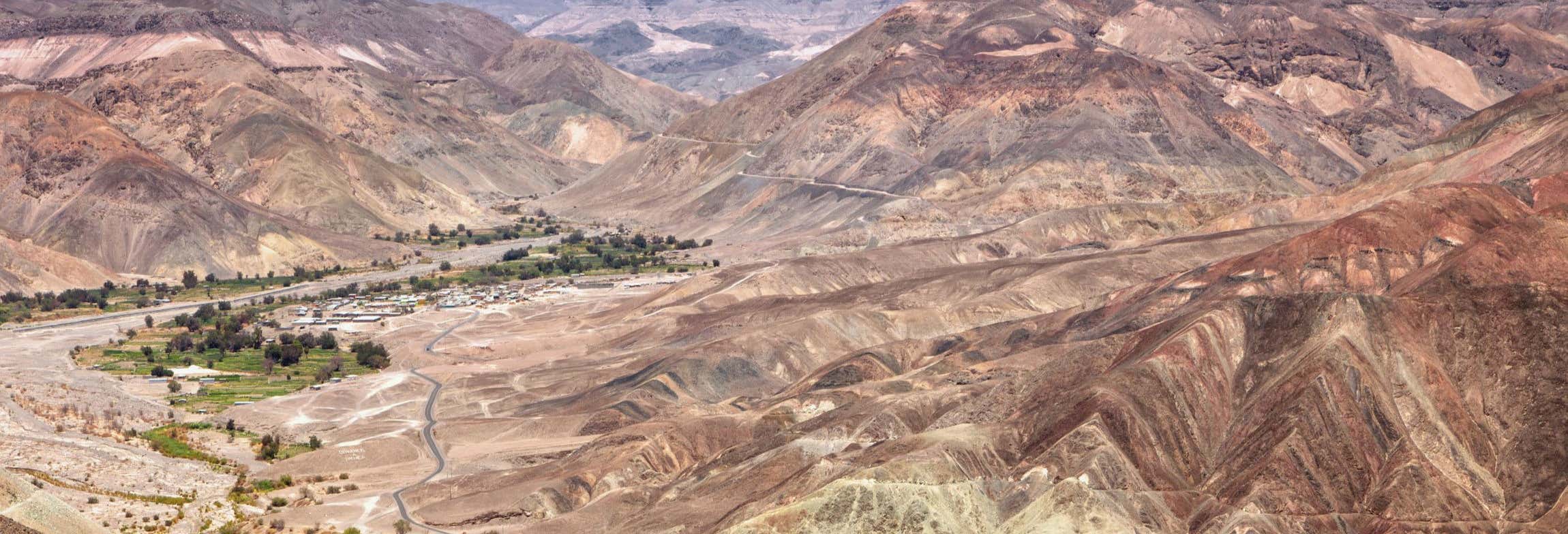 Tour del vino, la miel y los destilados por el desierto de Tarapacá