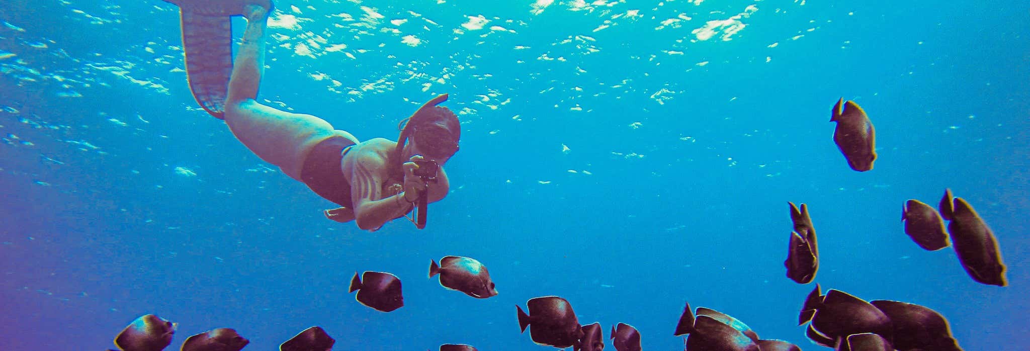 Snorkeling alla spiaggia di Anakena