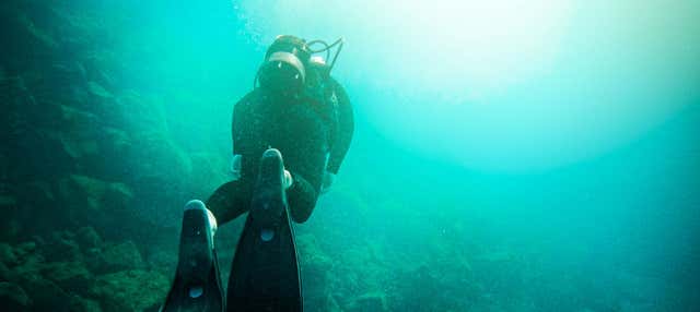 Immersione per principianti a Tongoy