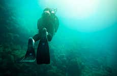 Tongoy Beginners Scuba Diving