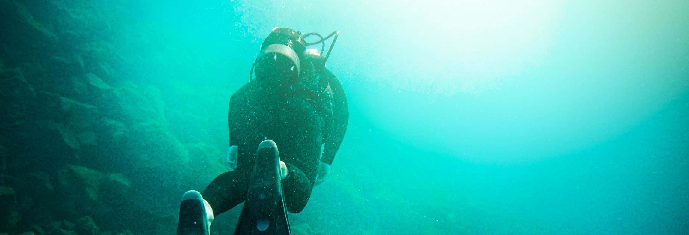 Immersione per principianti a Tongoy