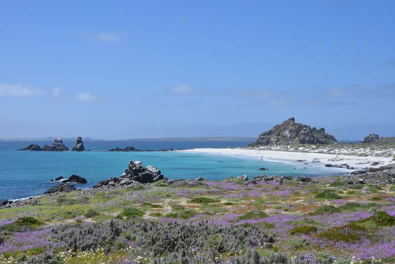Imagen 6