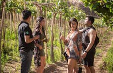 Elqui Valley Pisco, Wine & Beer Tour