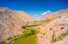Elqui Valley Tour