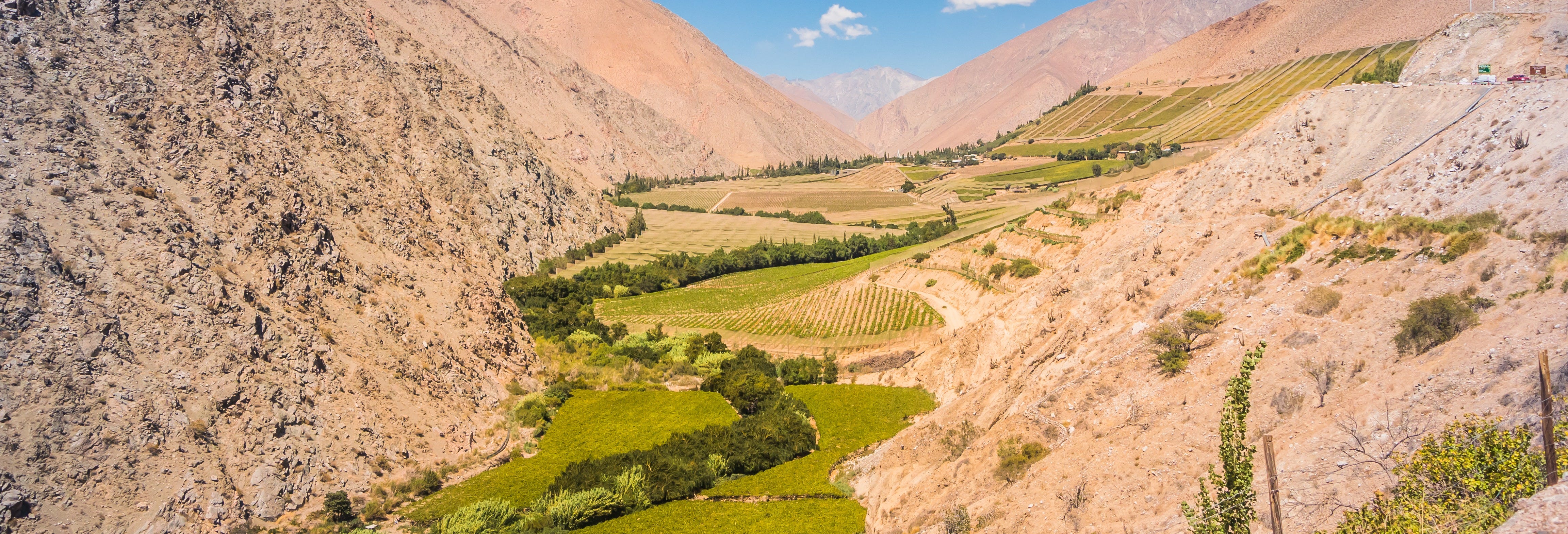 Elqui Valley Tour