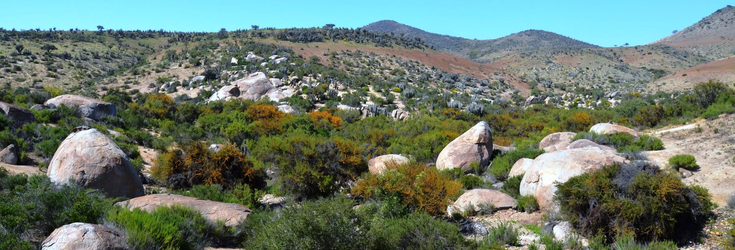 Valle del Encanto Tour