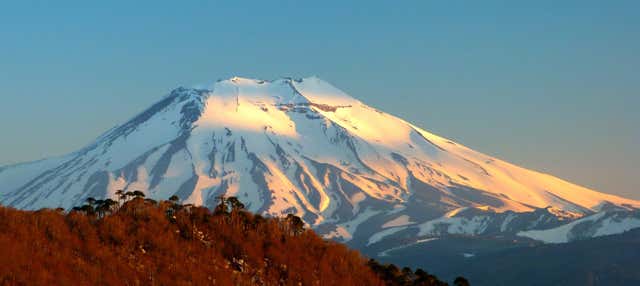 Trekking sul vulcano Lonquimay
