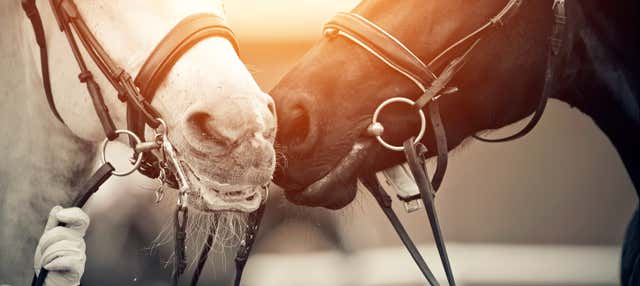 Passeggiata a cavallo a Mallín Grande