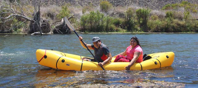 Escursione alla palude del fiume Limarí + Tour in kayak