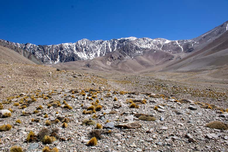 Imagen 2