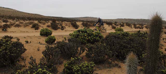 Tour della palude del fiume Limarí in bicicletta