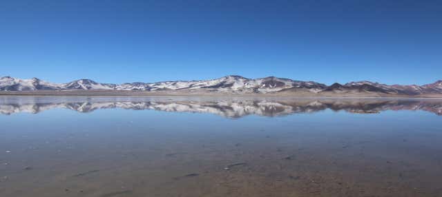 Escursione al Salar de Huasco e Tambillo