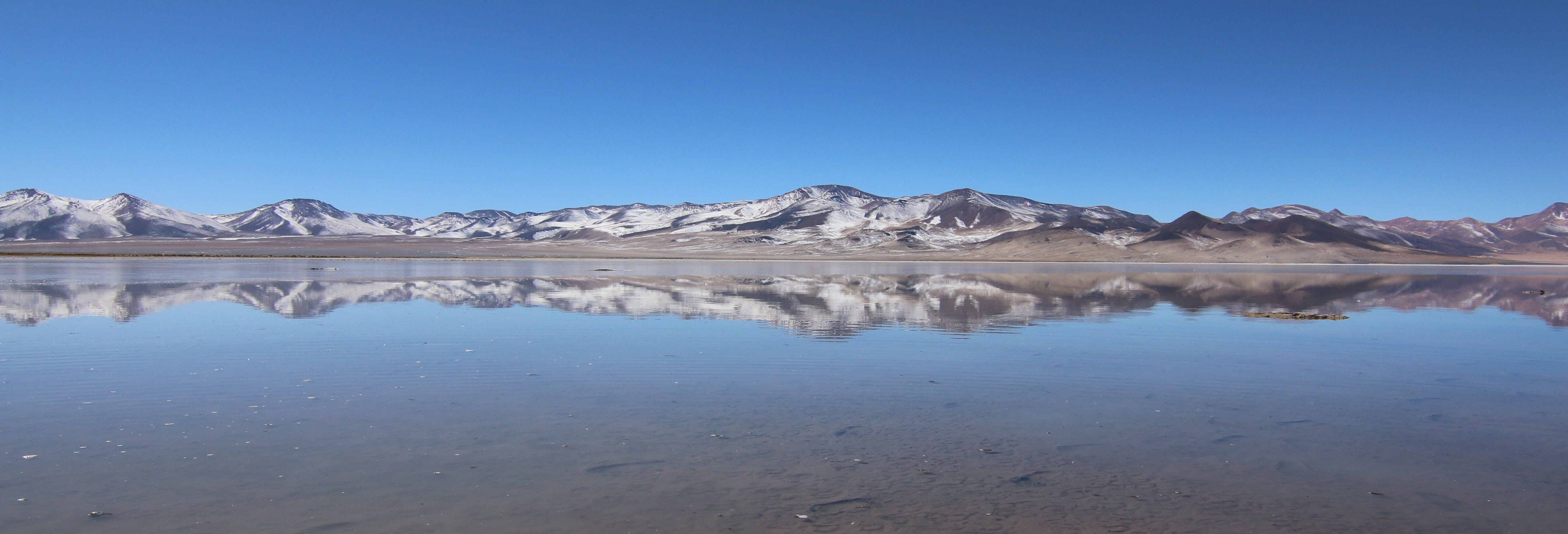 Day Trip to the Huasco Salt Flats + Tambillo