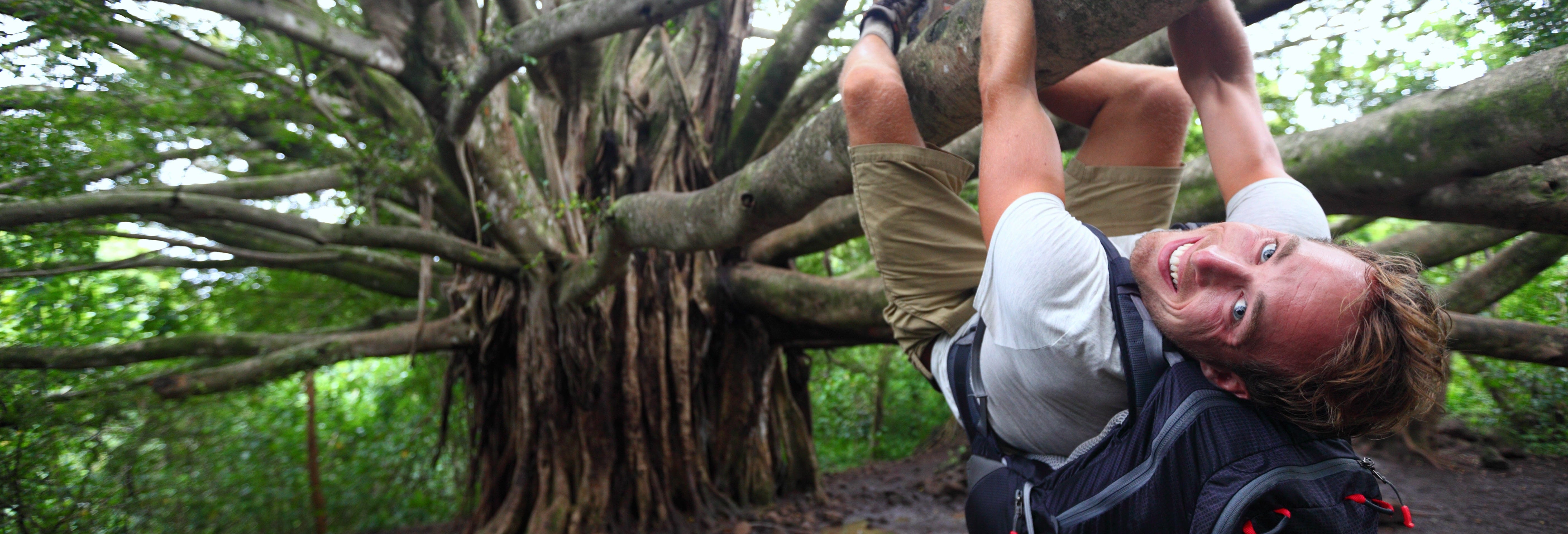 Tree Climbing in the Pica Oasis