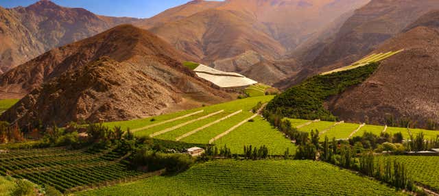 Tour privato della valle dell'Elqui