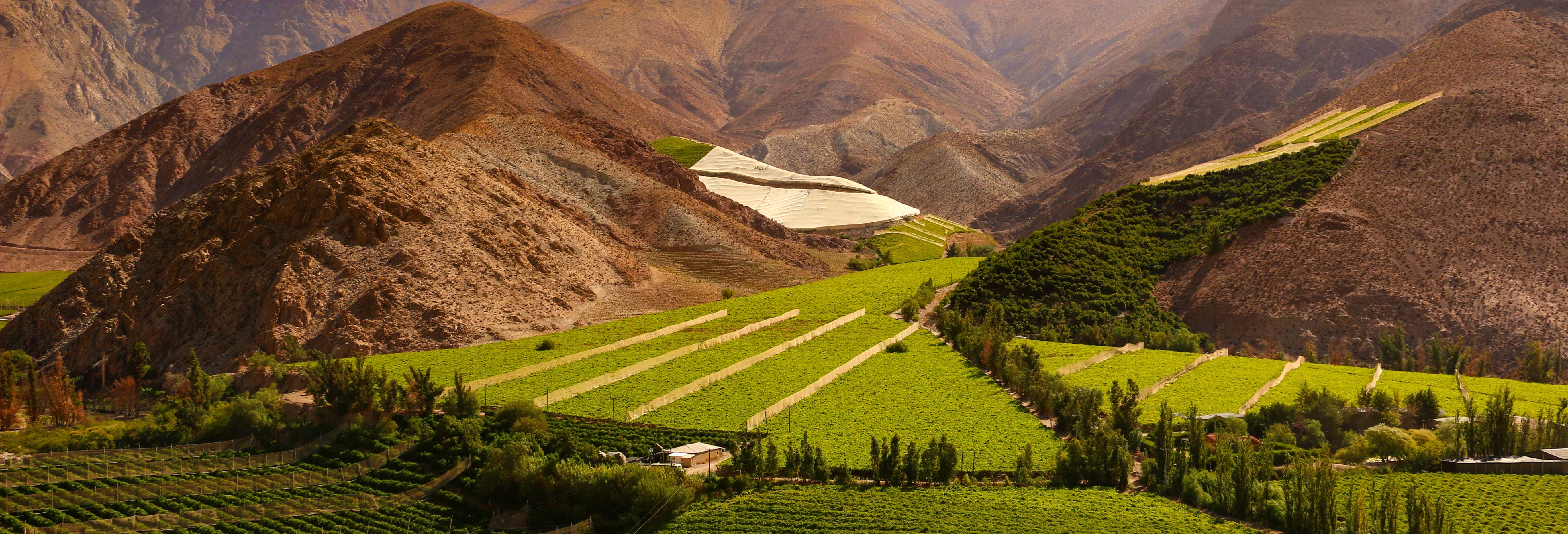 Tour privato della valle dell'Elqui