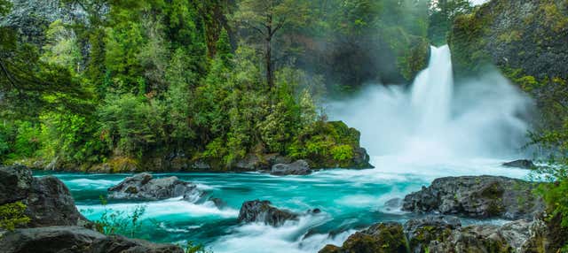 Escursione alla riserva Huilo Huilo
