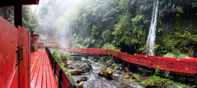 Escursione alle Termas Geométricas