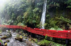 Geometric Hot Springs Excursion