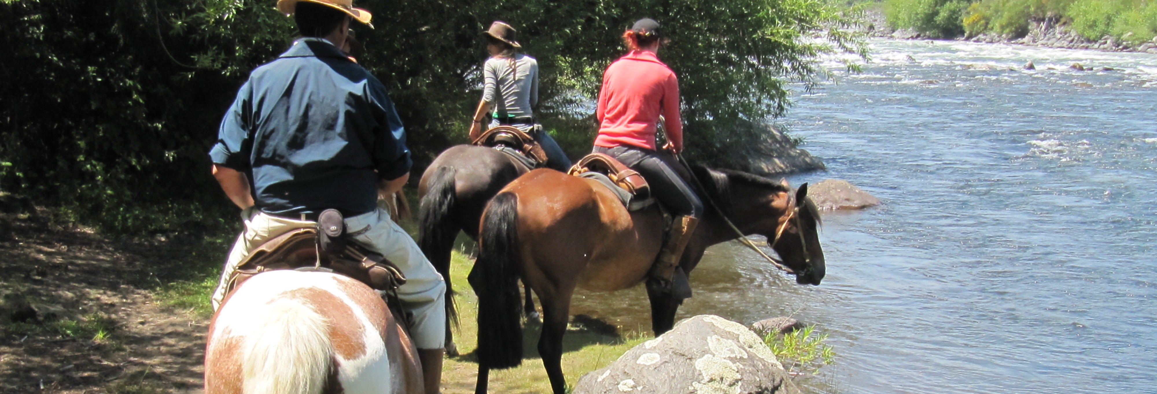 Passeio a cavalo pela Reserva Nacional de Villarrica