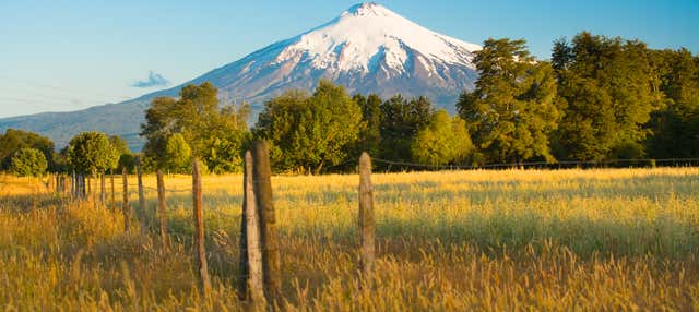 Tour della cultura Mapuche
