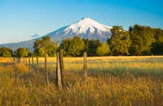 Mapuche Culture Tour
