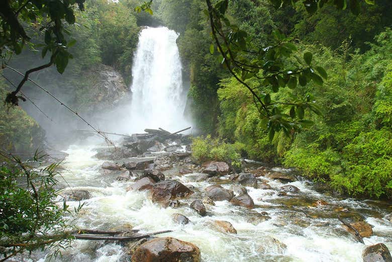 Imagen 4