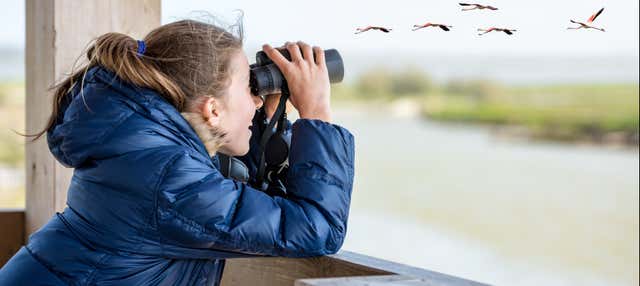 Birdwatching nella Carretera Austral