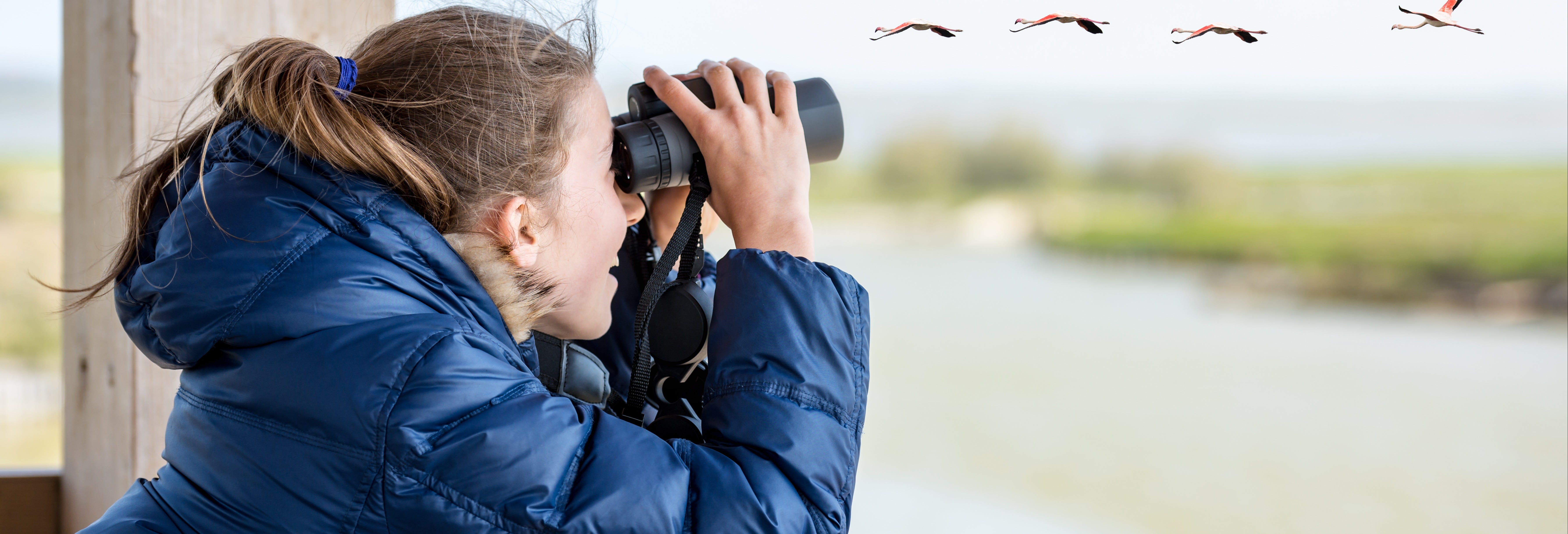 Birdwatching on the Carretera Austral