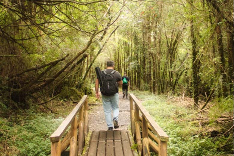 Private Tours from Puerto Montt