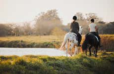 Laguna Sofía Horseback Ride