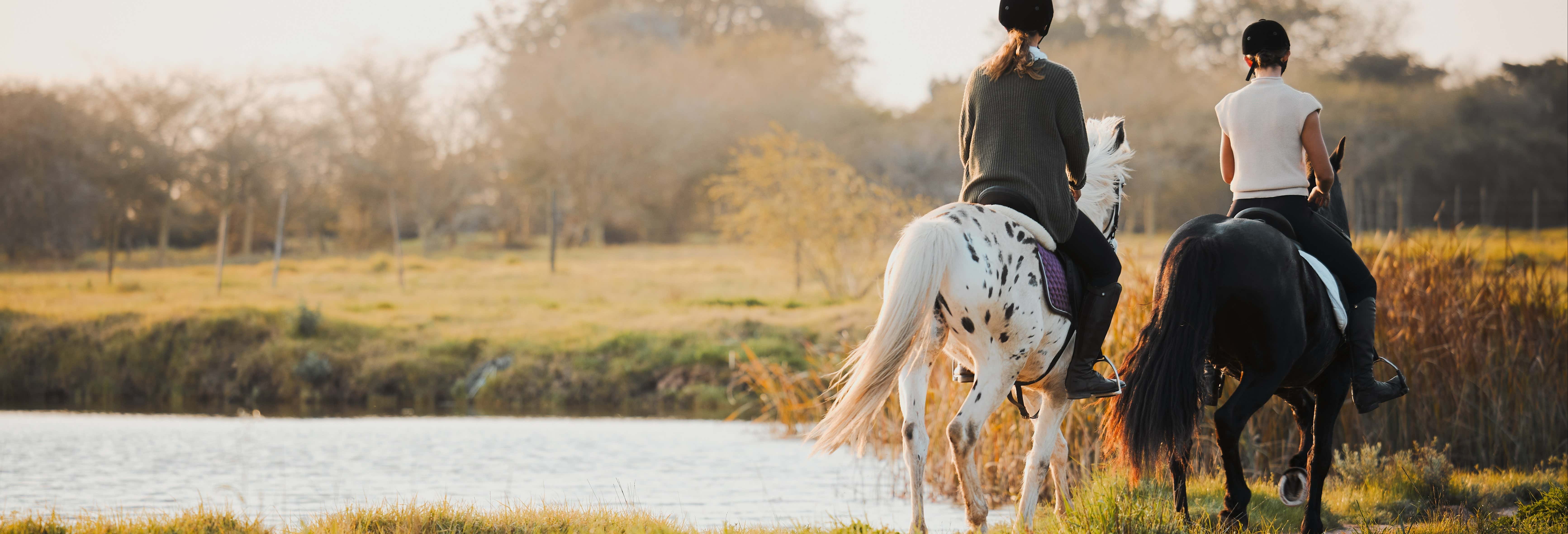 Passeggiata a cavallo alla Laguna Sofía