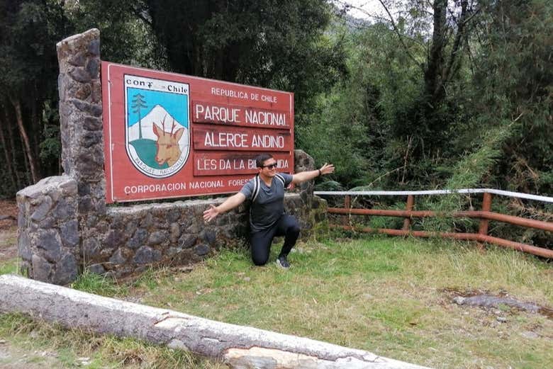 Imagen 3