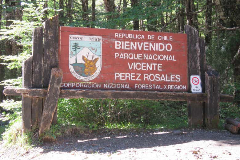 Imagen 3