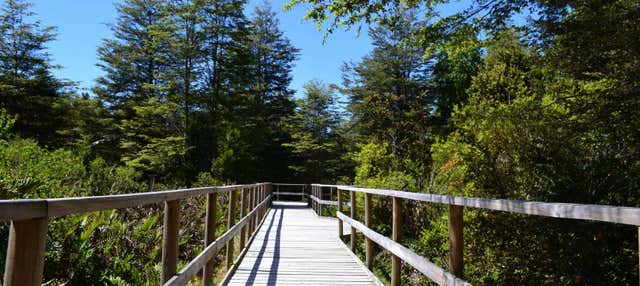 Tour privato di Puerto Varas, Nueva Braunau e Lahuen Ñadi