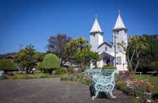 Chiloe Island: Chacao, Ancud & Puñihuil Penguins