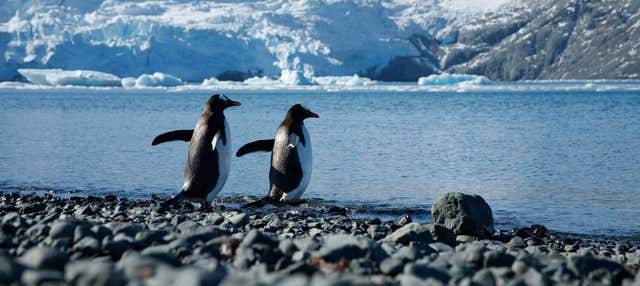 Escursione in Antartide in aereo