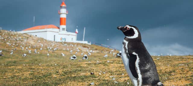 Escursione all'Isola Magdalena per crocieristi