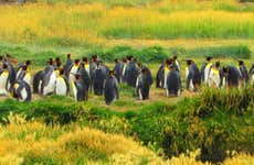Tierra del Fuego Day Trip