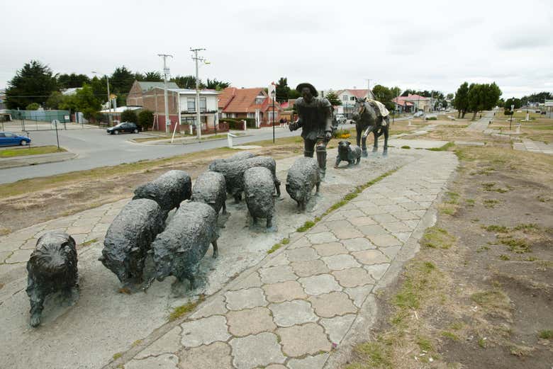 Imagen 8