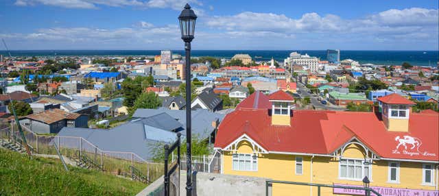 Tour di Punta Arenas per crocieristi