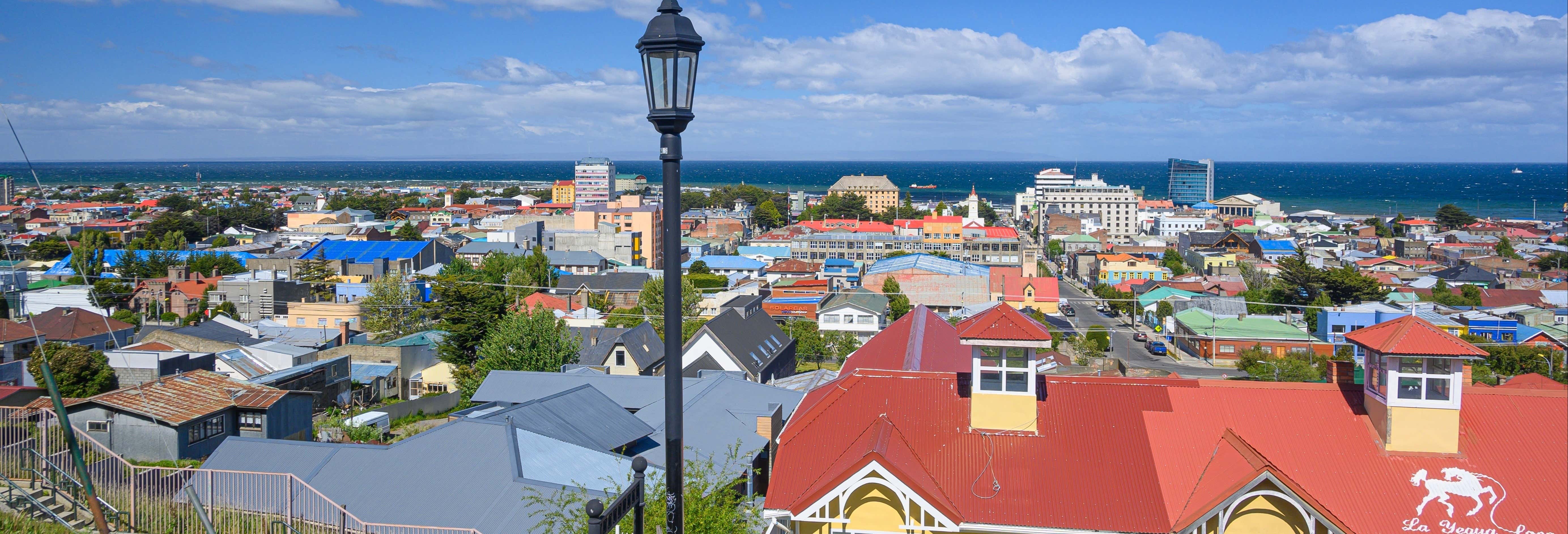 Tour di Punta Arenas per crocieristi
