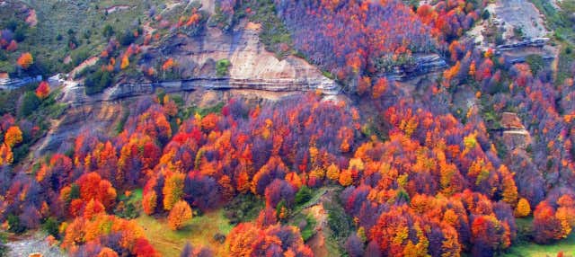 Tour della Riserva Nazionale Magallanes