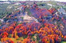 Magallanes National Reserve Tour