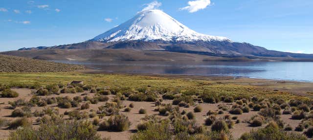 Escursione al Parco Nazionale Lauca