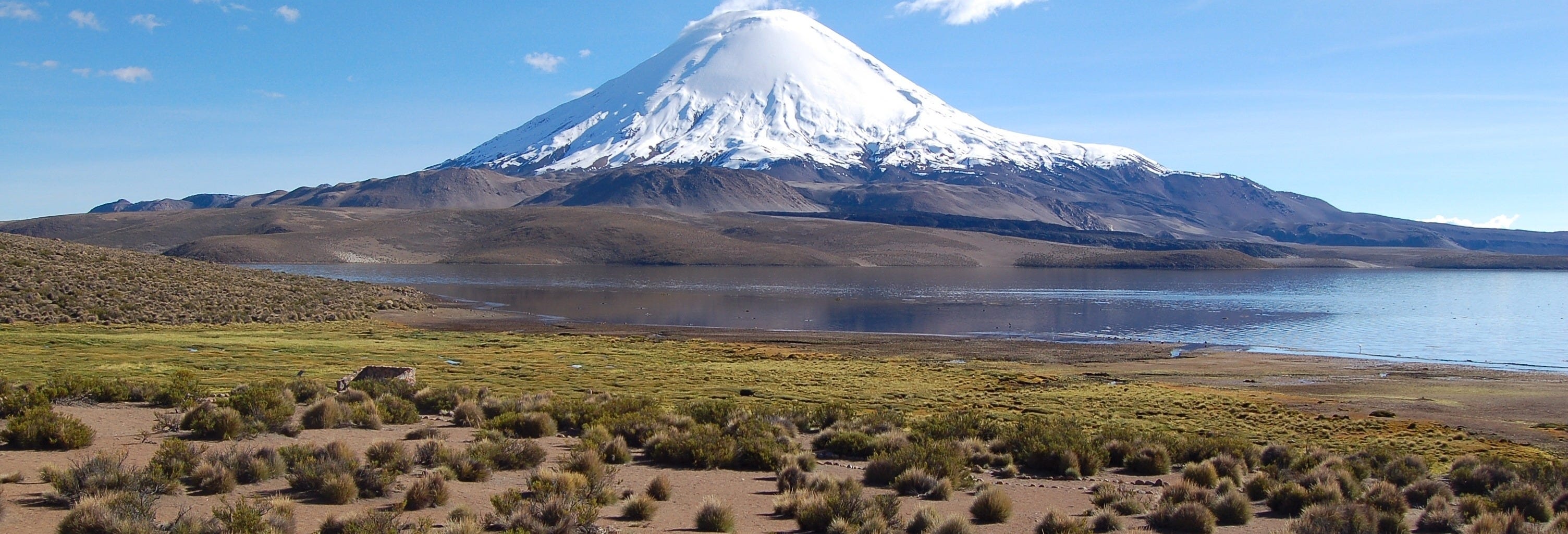 Lauca National Park Day Trip