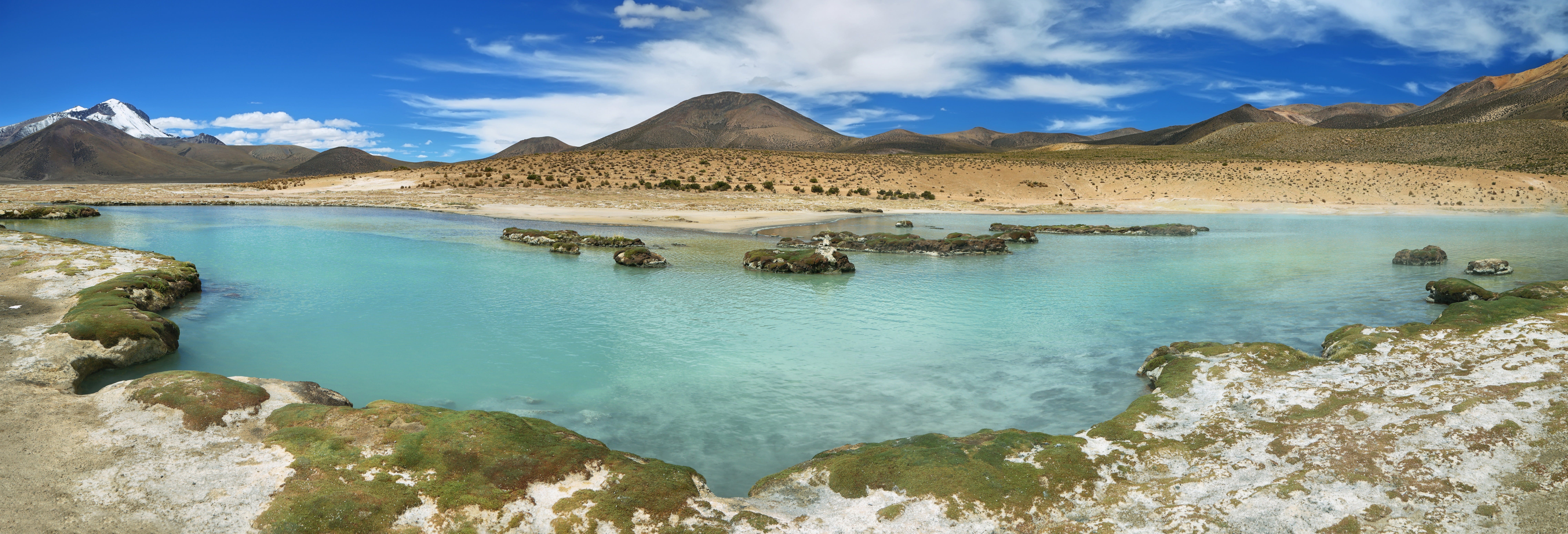 Surire Salt Flat Day Trip