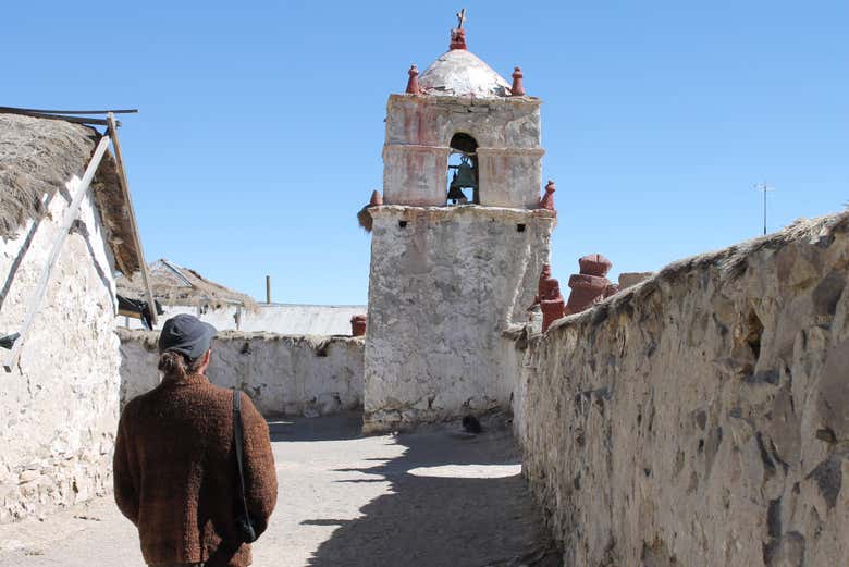 Imagen 5