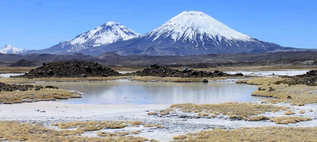 Tour di 3 giorni di Lauca