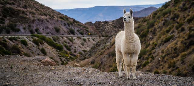 Tour dei villaggi di General Lagos